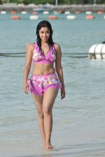 Payal Ghosh (Harika) in Bikini Swimwear Photoshoot on 30th May 2010 (142).JPG